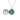 Open Tree of Life Ashes Locket showing green resin and ashes inside