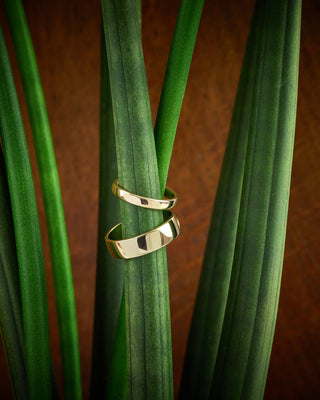 Wedding Rings