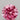 0.74ct Round Lab Grown Diamond (Colour Fancy Vivid Pink, Clarity VVS2, Cut VG, IGI Certified)