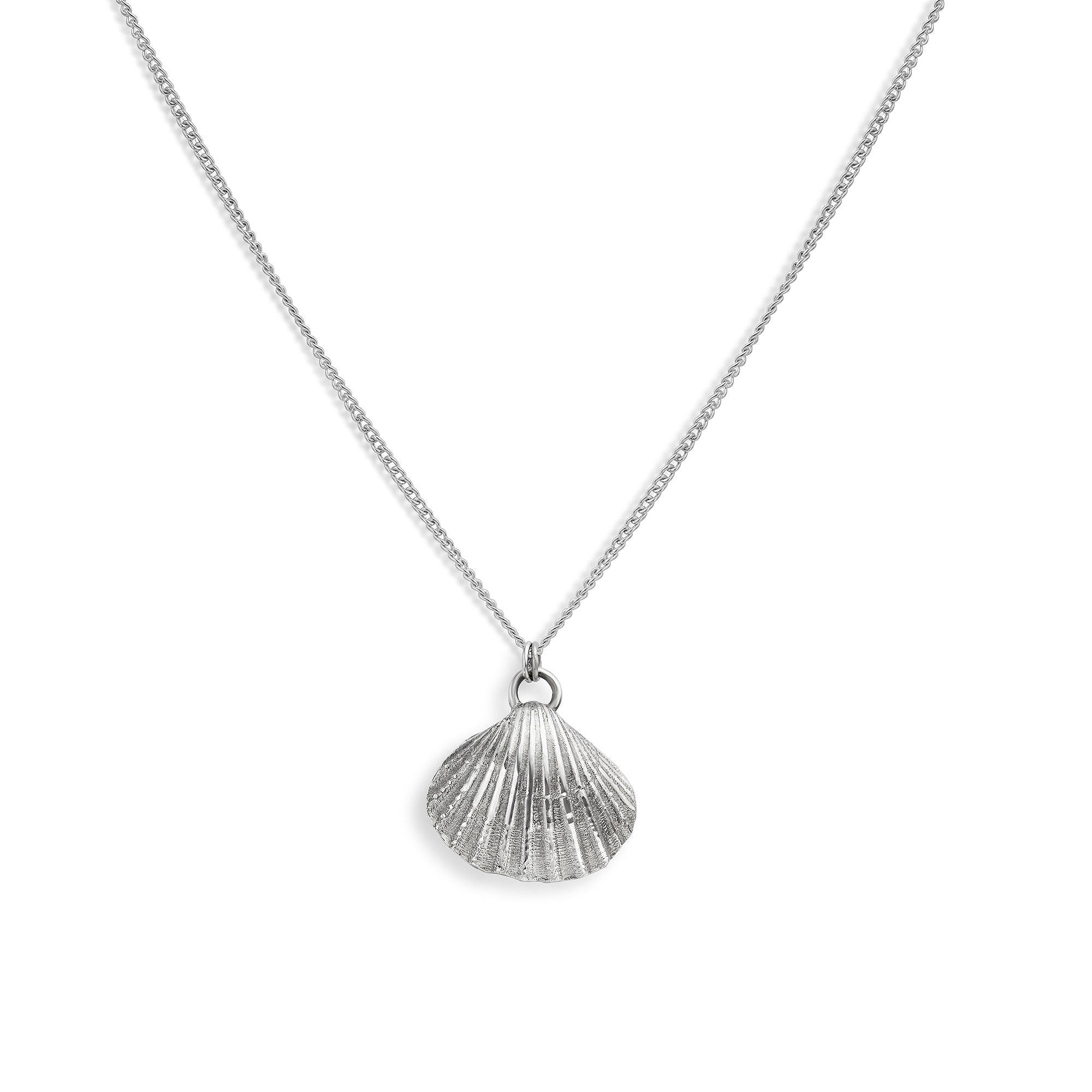 Isle of Wight Silver Cockle Necklace