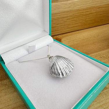 Double Cockle Shell Necklace in Box