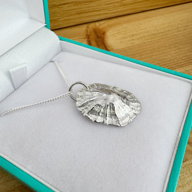 Limpet shell necklace in presentation box