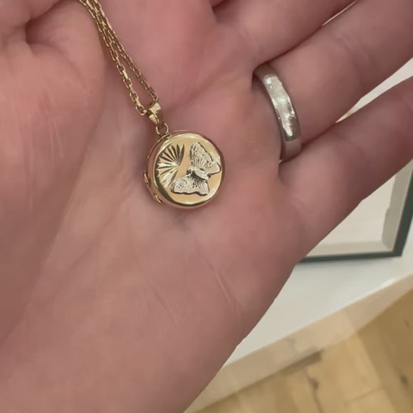 Butterfly locket video showing opening and closing the locket