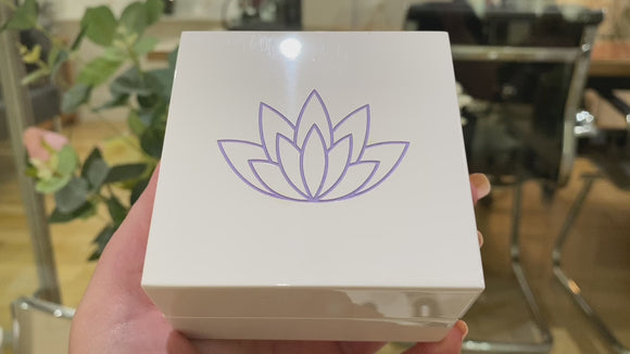 Silver Sea Life Necklace