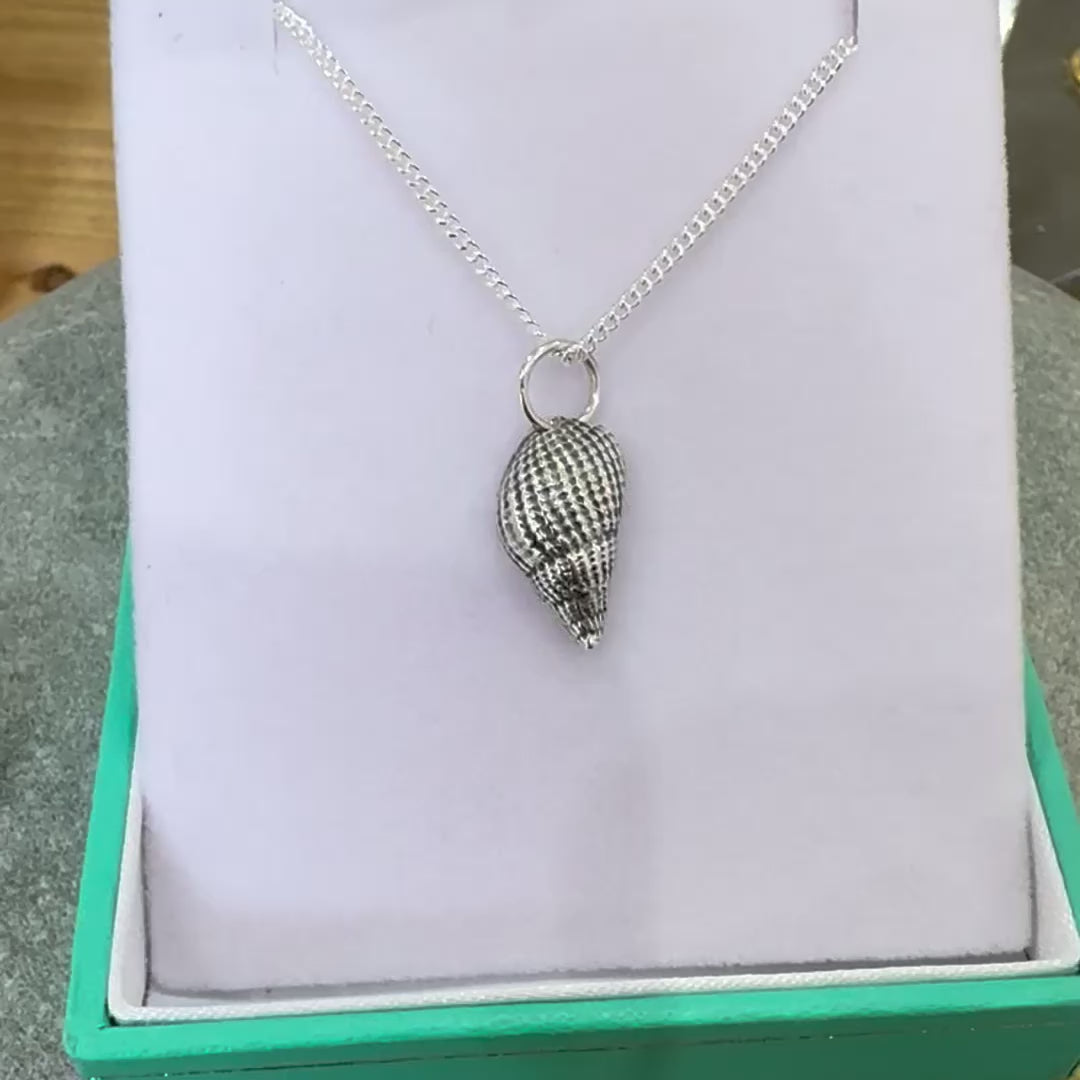 Silver Whelk Shell Necklace Video